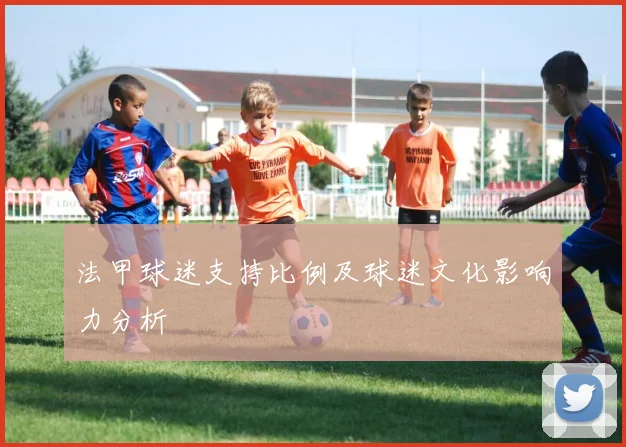 法甲球迷支持比例及球迷文化影响力分析