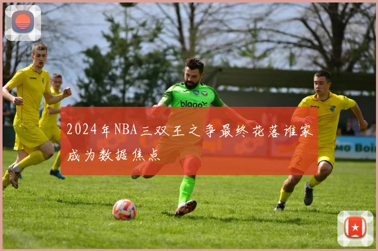 2024年NBA三双王之争最终花落谁家成为数据焦点