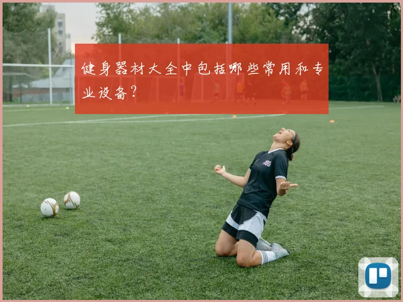 健身器材大全中包括哪些常用和专业设备？